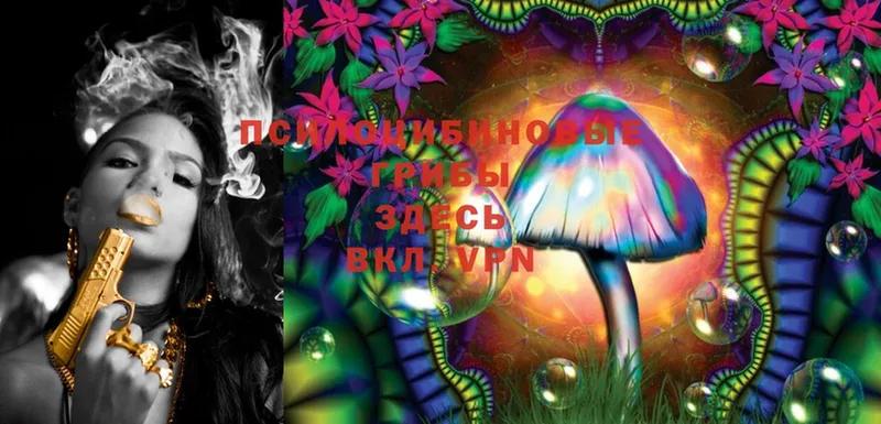 MEGA зеркало  Белебей  Галлюциногенные грибы MAGIC MUSHROOMS 